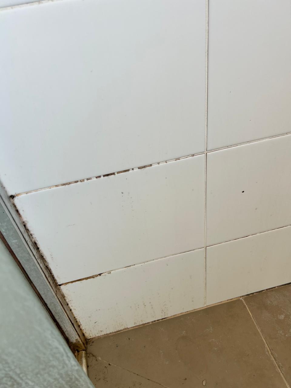 Before cleaning